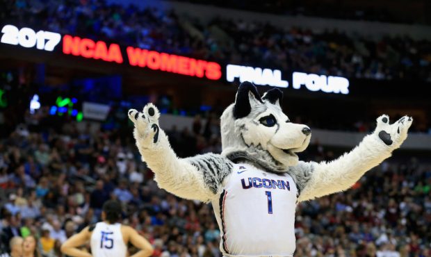 DALLAS, TX – MARCH 31: Jonathan the Husky, mascot for the Connecticut Huskies, performs in th...