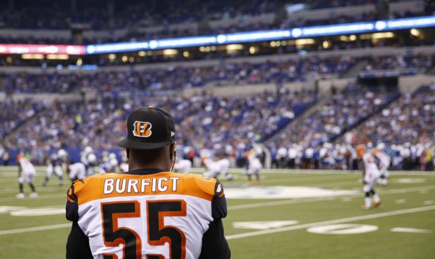 INDIANAPOLIS, IN - AUGUST 31: Vontaze Burfict #55 of the Cincinnati Bengals looks on from the sidel...