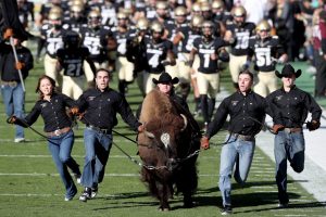 BOULDER, CO - NOVEMBER 11: Ralphie the Buffalo leads the Colorado Buffaloes onto the field for their game against the USC Trojans at Folsom Field on November 11, 2017 in Boulder, Colorado. (Photo by Matthew Stockman/Getty Images)