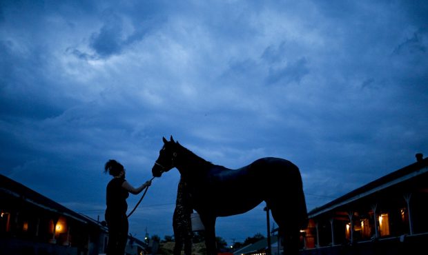 LOUISVILLE, KY - MAY 04: A horse is washed in the barn area during morning workouts in preparation ...