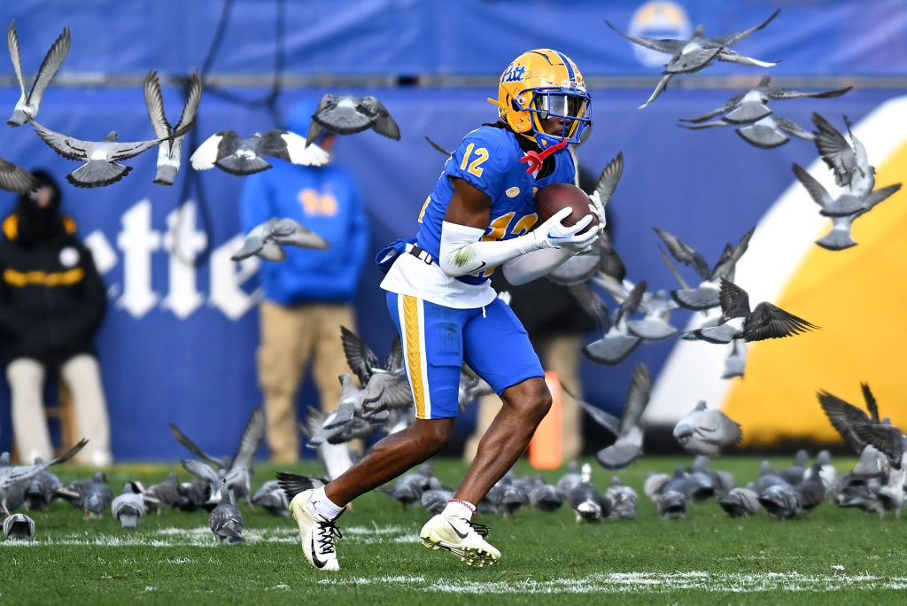 Devonshire #12 of the Pittsburgh Panthers catches a punt, in the middle of a flock of pigeons, duri...